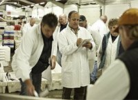 Brixham fish auction